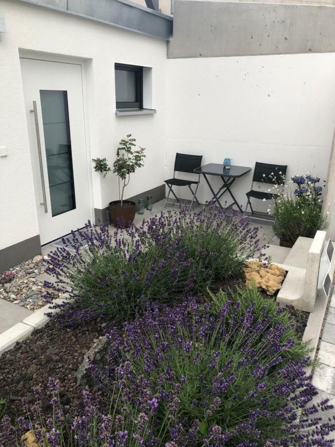 Ferienwohnung No.55 Lörrach Eksteriør billede
